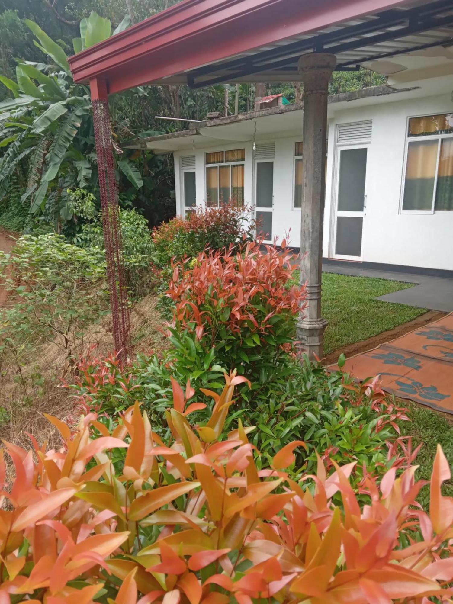 Rainforest Holiday Inn دينيايا المظهر الخارجي الصورة