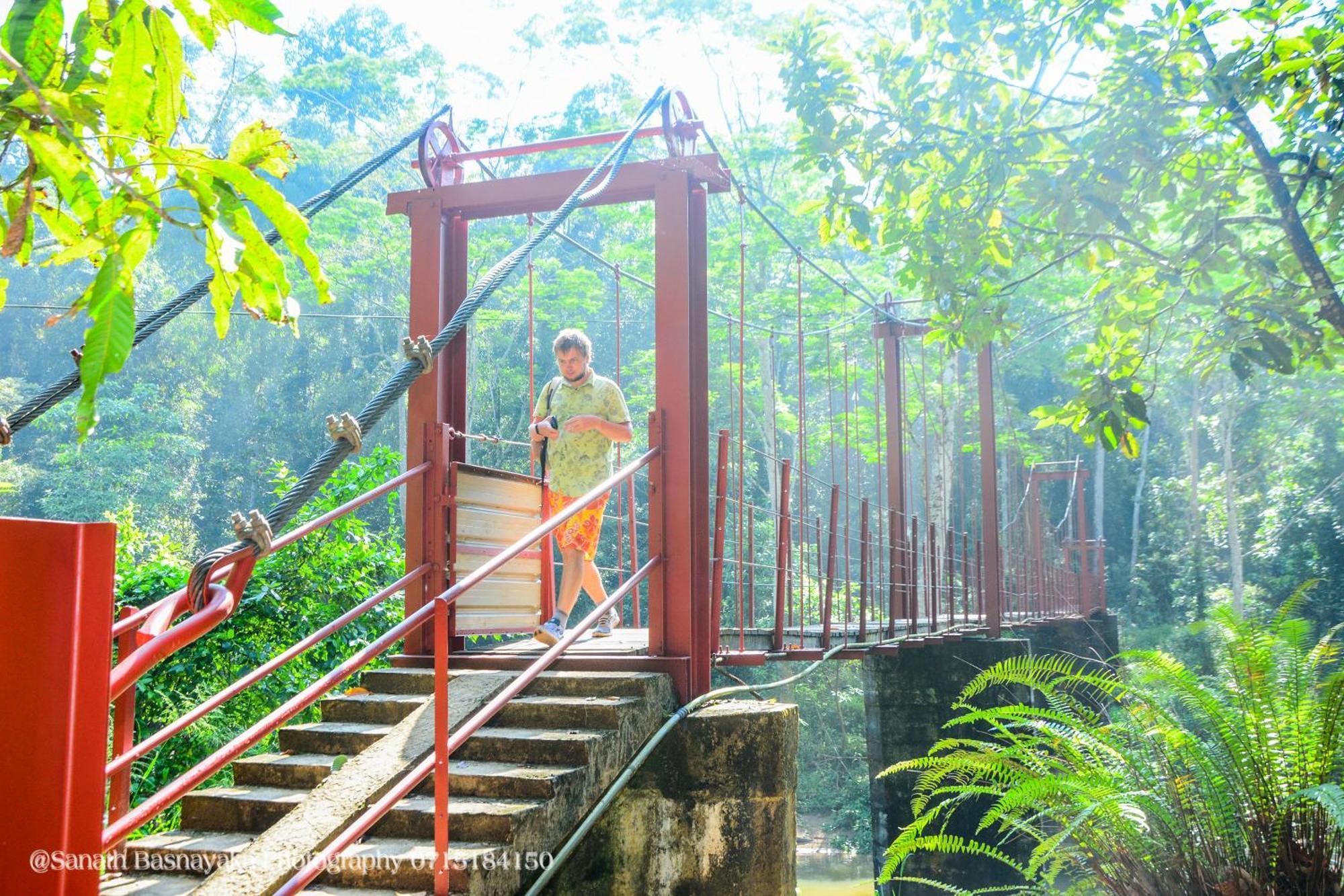 Rainforest Holiday Inn دينيايا المظهر الخارجي الصورة