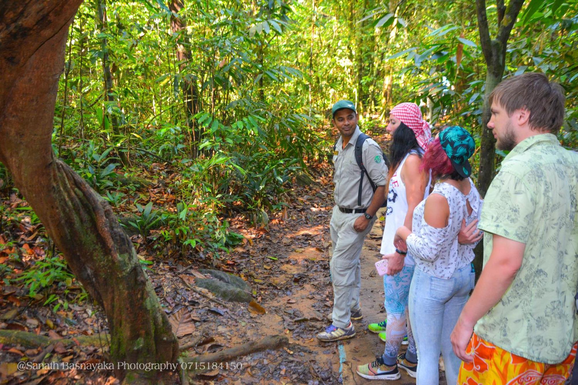 Rainforest Holiday Inn دينيايا المظهر الخارجي الصورة