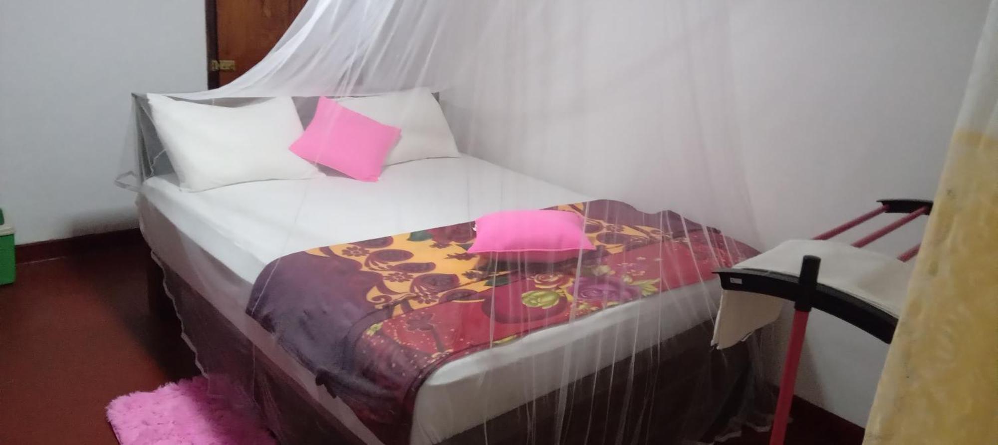 Rainforest Holiday Inn دينيايا الغرفة الصورة