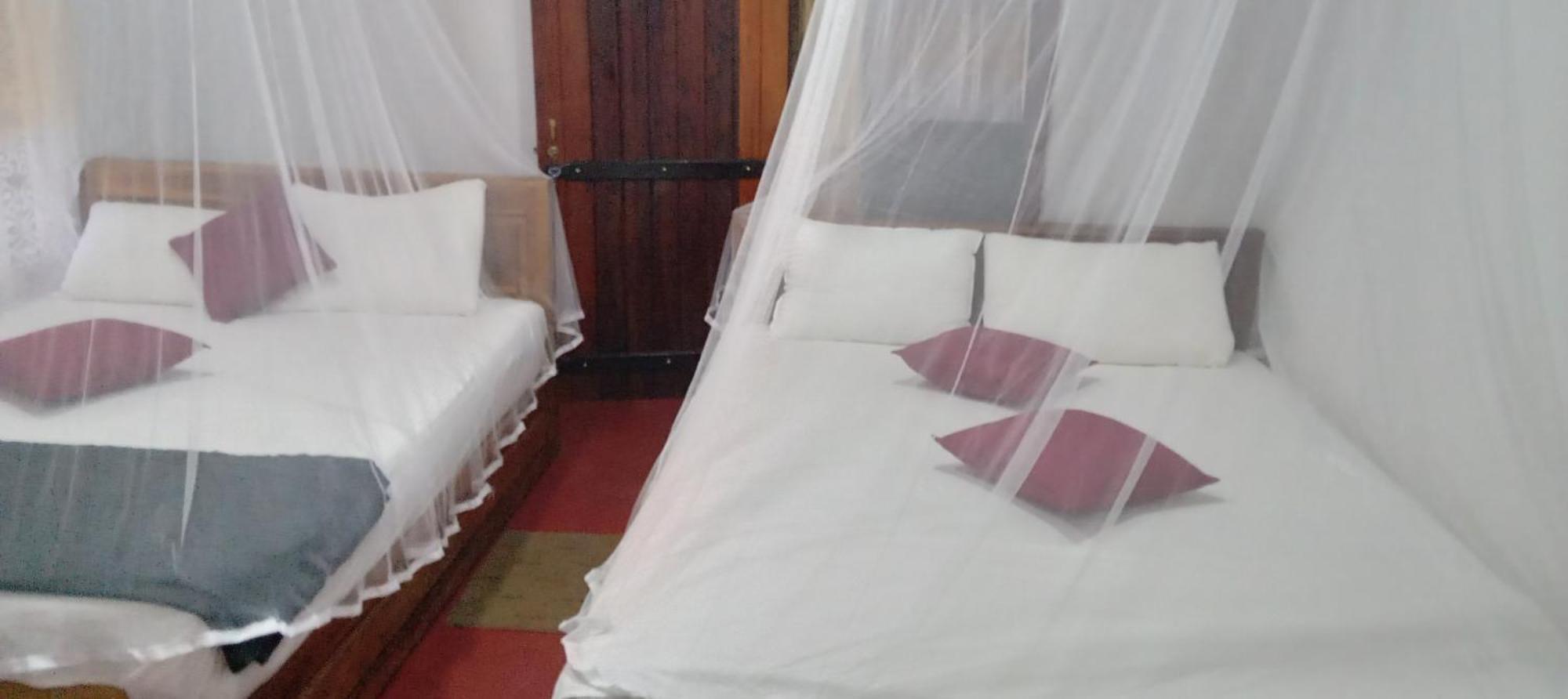 Rainforest Holiday Inn دينيايا الغرفة الصورة