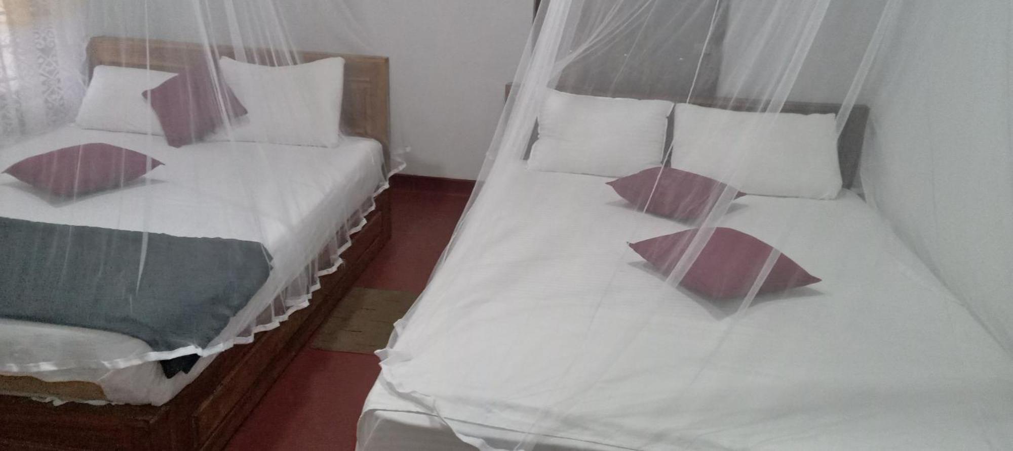 Rainforest Holiday Inn دينيايا الغرفة الصورة