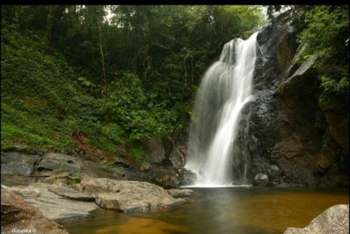 Rainforest Holiday Inn دينيايا المظهر الخارجي الصورة